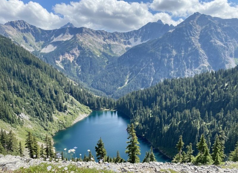 Best Tub To Shower Conversion pros in Leavenworth, WA
